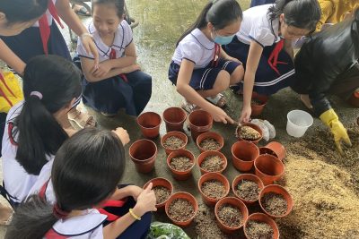 Liên đội Trường Tiểu học Nguyễn Nghiêm phát động phong trào tết trồng cây- xanh hóa trường học